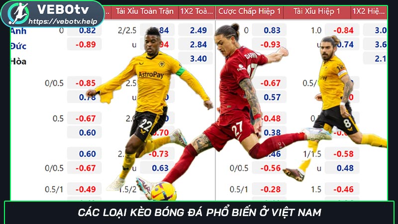 Tỷ lệ kèo nhà cái hôm và những mẹo để nắm chắc phần thắng Các loại kèo bóng đá phổ biến ở Việt Nam